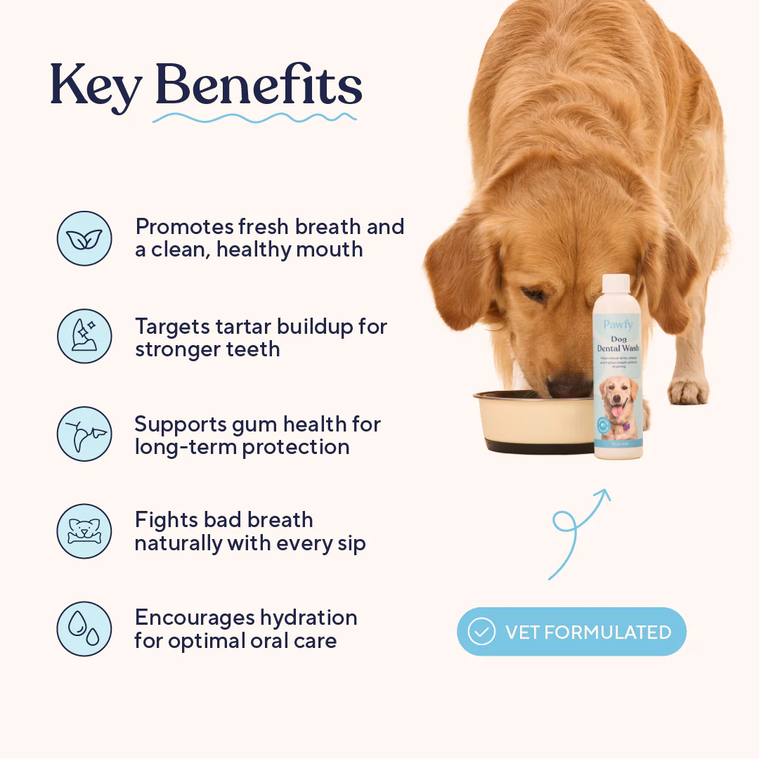 Dental Wash - Image 3