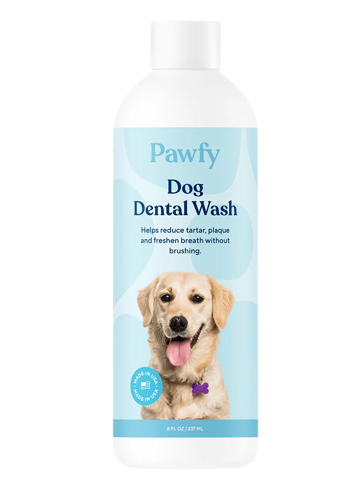 Dental Wash Special - Image 3