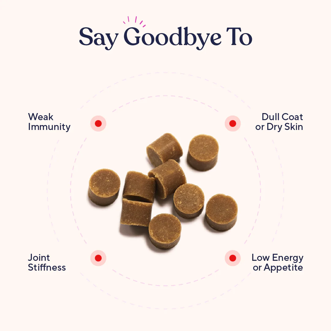 Multivitamin - Image 3