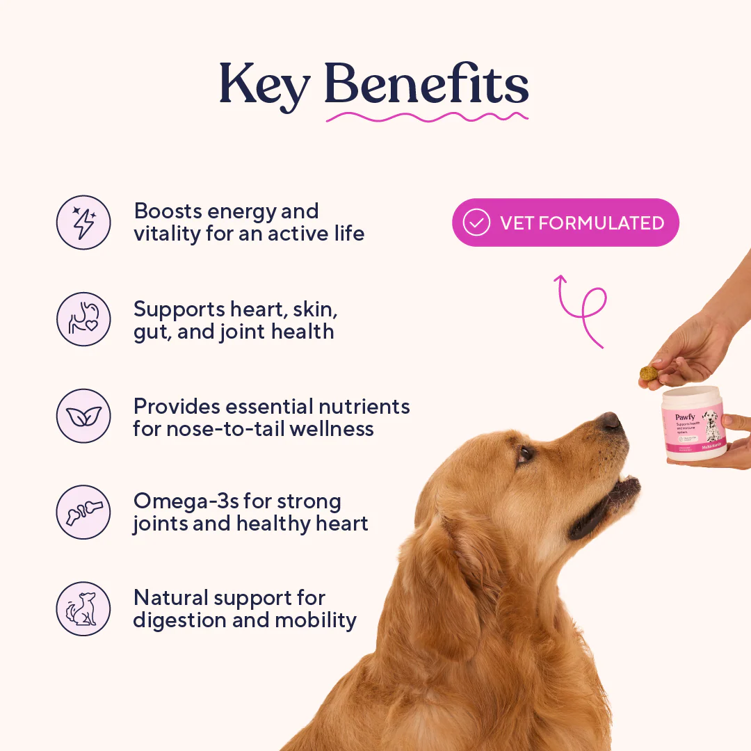 Multivitamin - Image 4