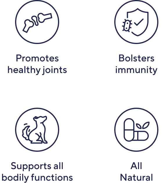 Multivitamin Special - Image 3