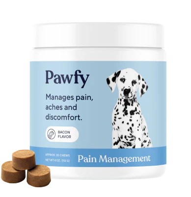 Pain Relief Special - Image 4