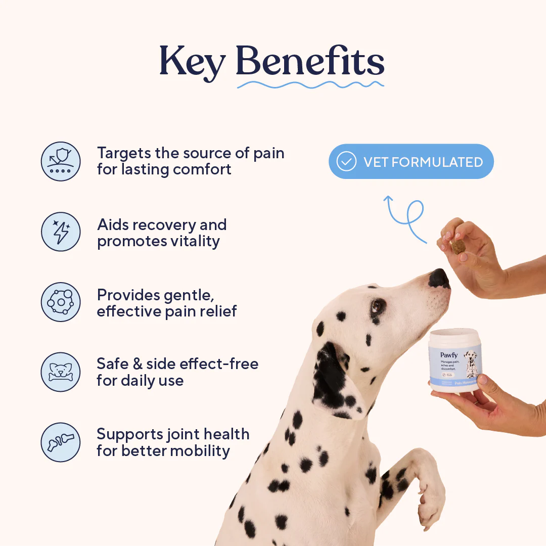 Pain Relief - Image 3