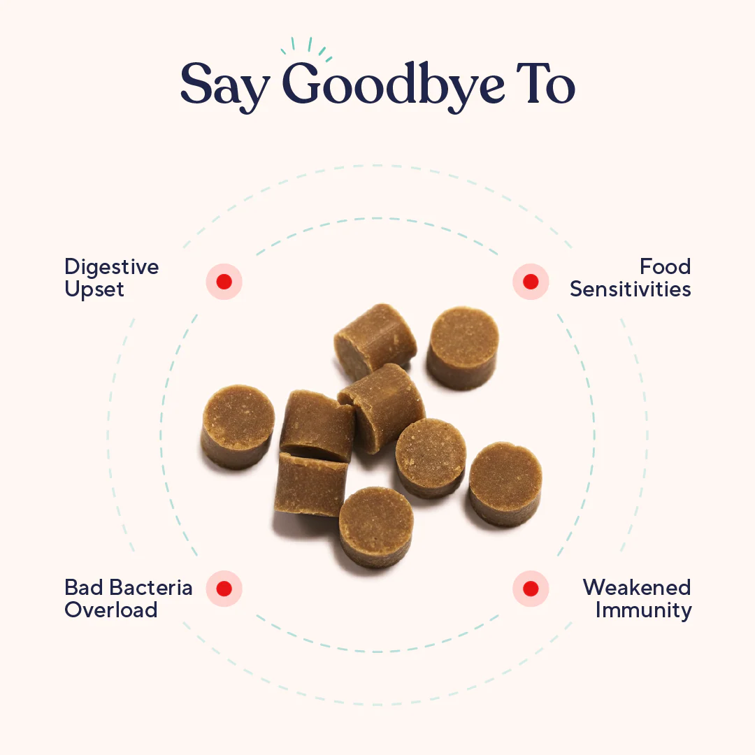 Probiotic - Image 4
